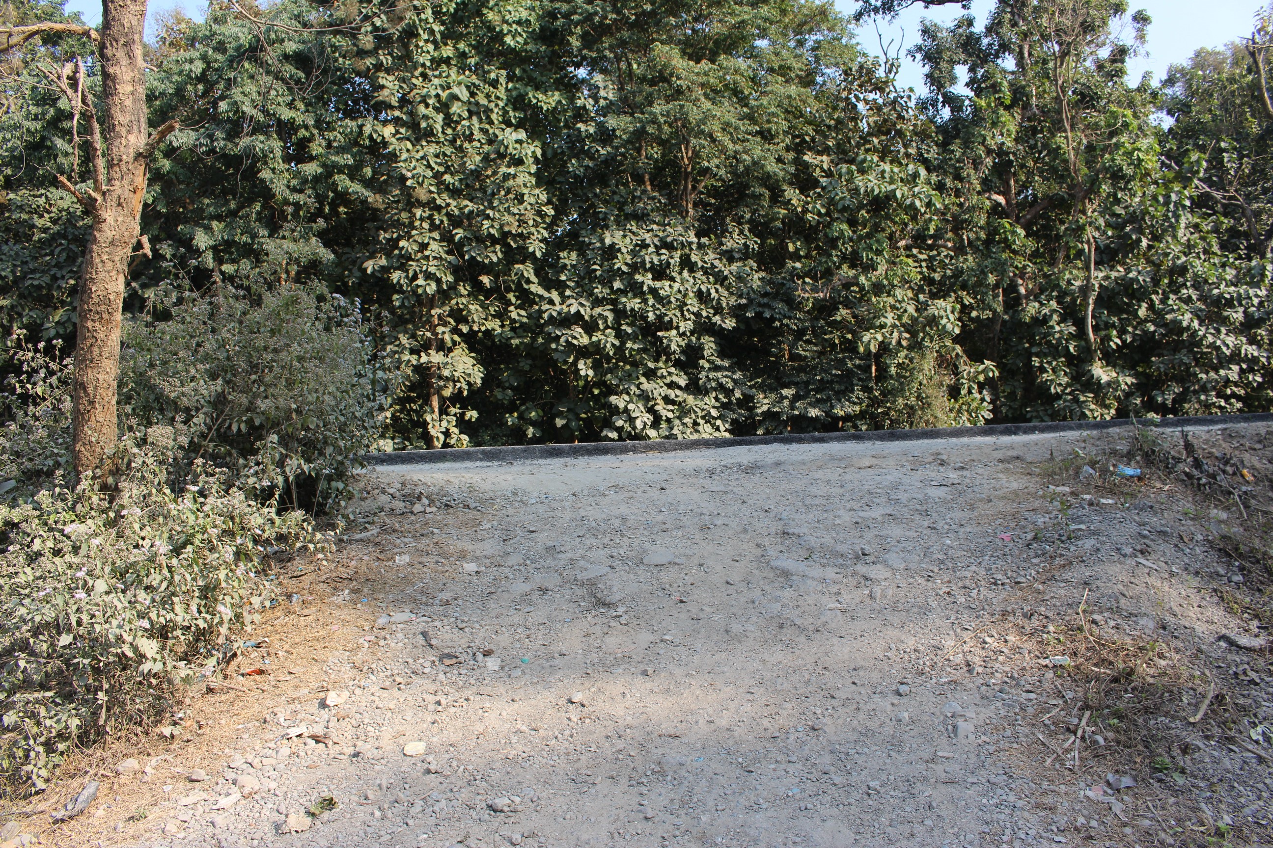 rani-kimangthanka (7).JPG